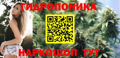 ГАЛЛЮЦИНОГЕННЫЕ ГРИБЫ Гусиноозёрск