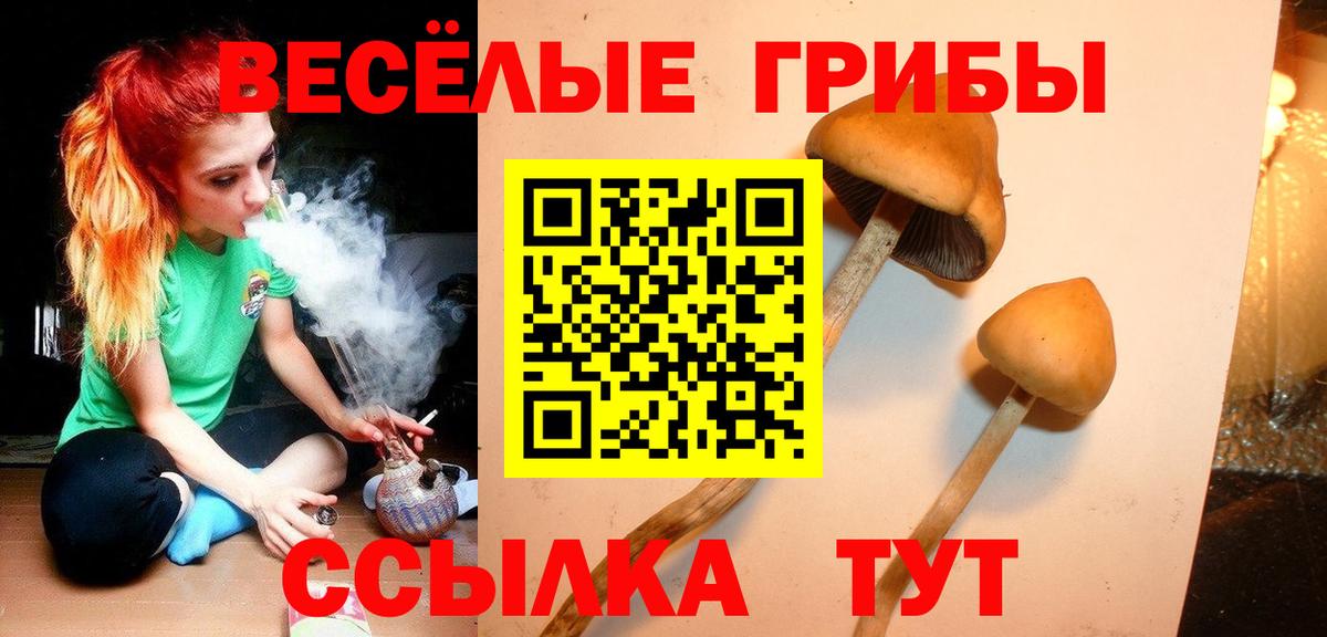 Галлюциногенные грибы Psilocybine cubensis Нарткала
